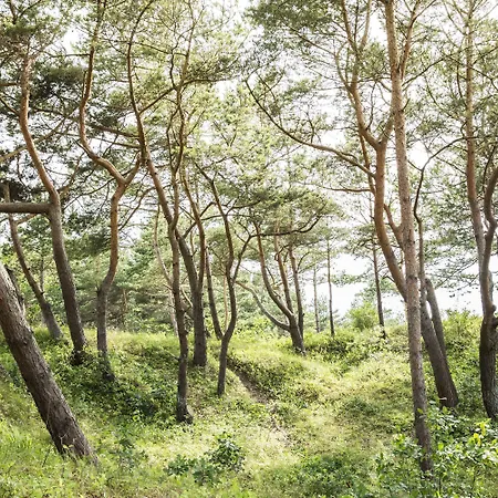 Strandhotel Duenenmeer - Adults Only 5* Dierhagen