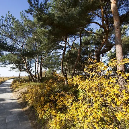 Strandhotel Duenenmeer - Adults Only 5* ديارهاجين