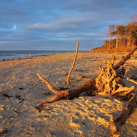 Ξενοδοχείο Strandhotel Duenenmeer - Adults Only 5*