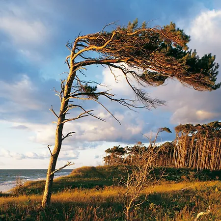 Strandhotel Duenenmeer - Adults Only 5*