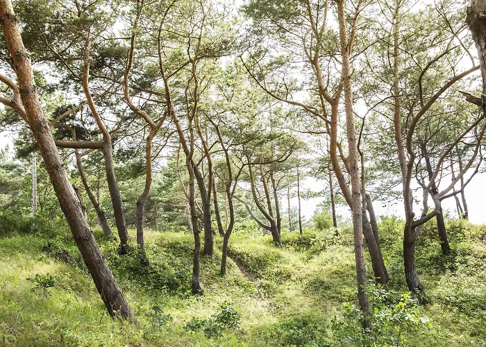 Strandhotel Duenenmeer - Adults Only 5* Dierhagen