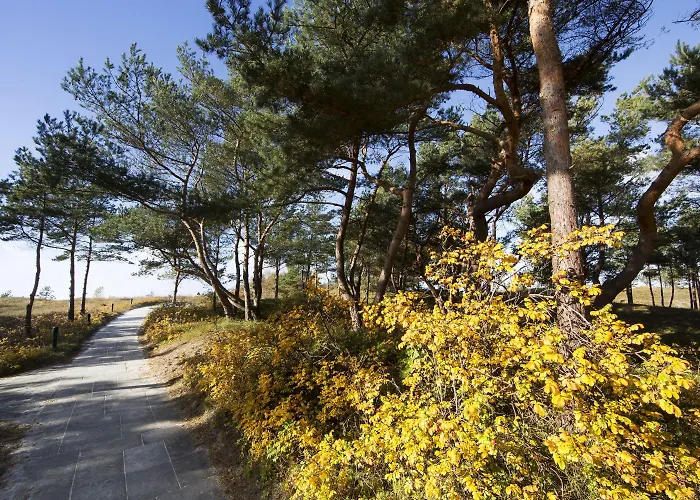 Strandhotel Duenenmeer - Adults Only 5* Dierhagen