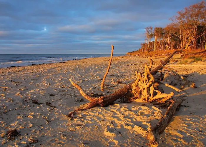 Hotel Strandhotel Duenenmeer - Adults Only 5*